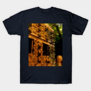 Mayan vestige T-Shirt